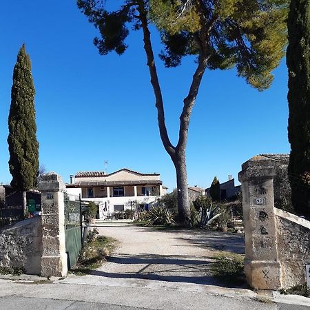 Gites Du Mas Gibert A Saussines Entre Nimes Et Montpellier 外观 照片