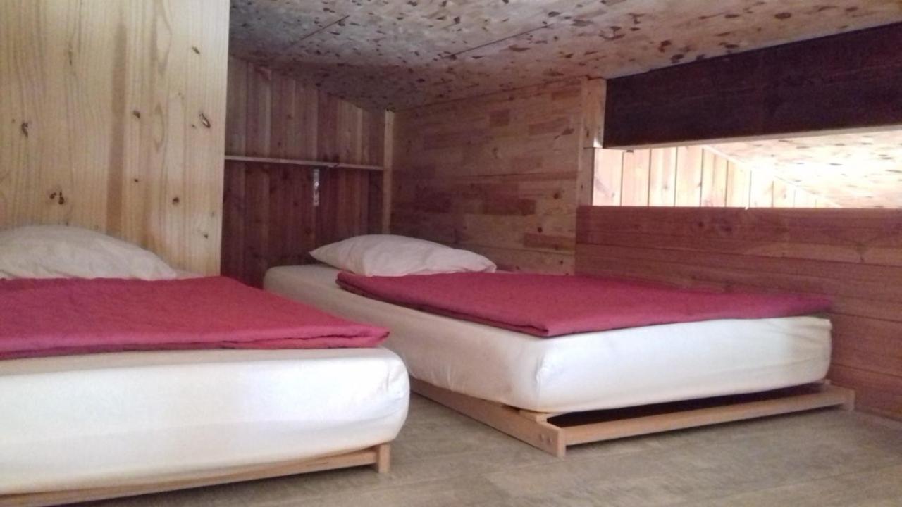 Gites Du Mas Gibert A Saussines Entre Nimes Et Montpellier 外观 照片