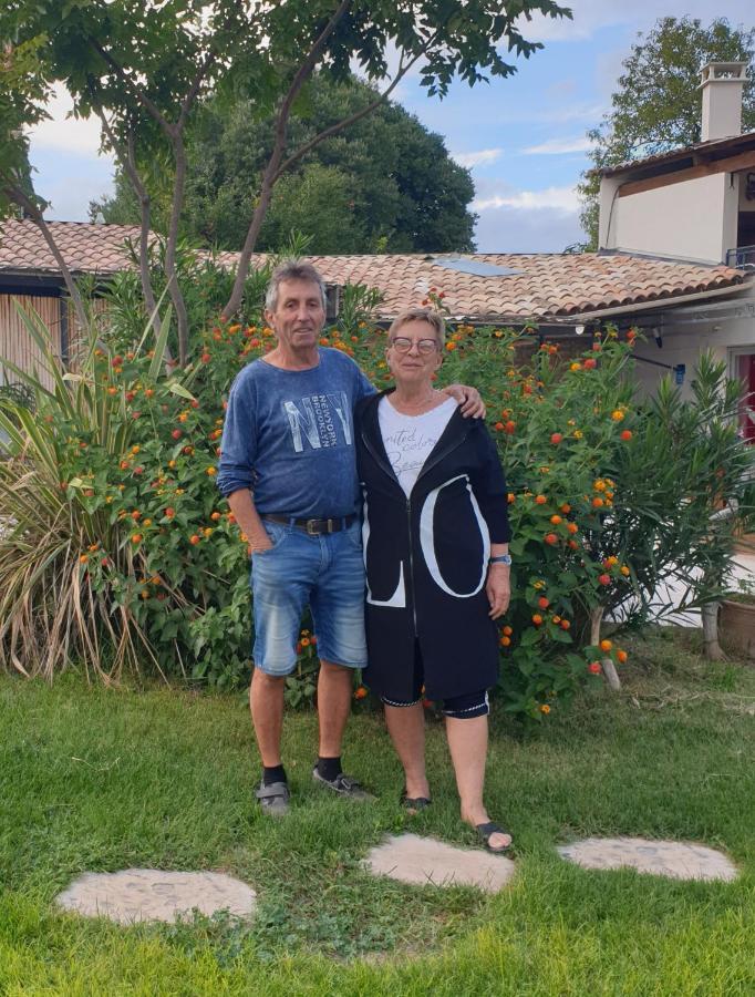 Gites Du Mas Gibert A Saussines Entre Nimes Et Montpellier 外观 照片